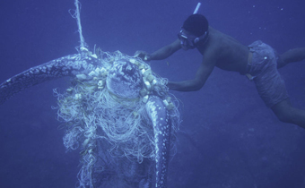 bycatch